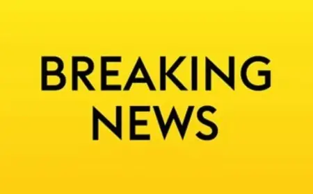 Buffalo Bills Dismiss Head Coach Sean McDermott After Broncos Playoff Loss