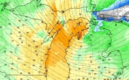 Eastern Michigan Faces Near-Blizzard as Winter Weather Advisory Expands