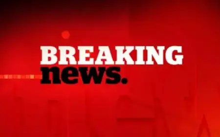 Canadian Tourist Discovered Dead in Australia, Reportedly Surrounded by Dingoes