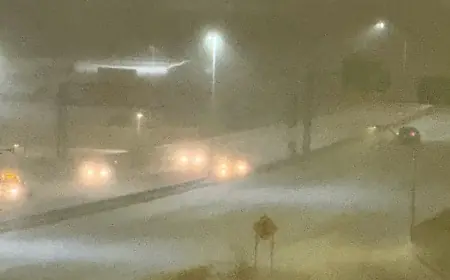 100-Car Pileup Shuts Down I-196 in West Michigan as Whiteout Snow Triggers Chain-Reaction Crashes