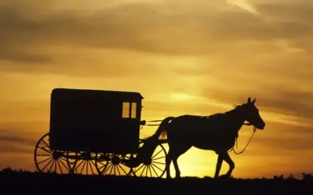 Amish Communities Embrace E-Bikes, Reducing Horse Reliance