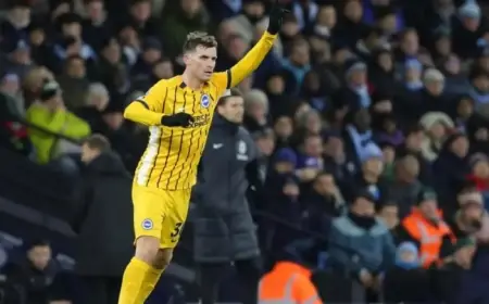 Albion’s Transfer Status: Barber Updates Mid-January Window Progress