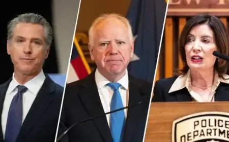 House Republicans Warn of Rising Fraud Probes in Minnesota and Blue States