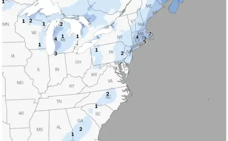 Snowstorm Impacts East Coast: Southern States to Experience Snowfall