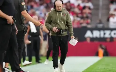 Lions Appoint Cardinals’ Drew Petzing as New Offensive Coordinator