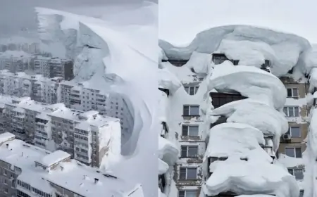 Kamchatka, Russia Snow Storm 2026: Record Snowfall Buries Petropavlovsk-Kamchatsky Under Massive Drifts