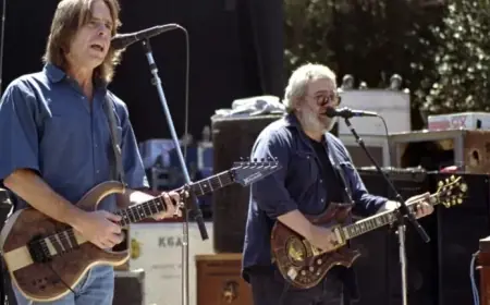 Explore 15 Unique Adaptations of “Dead Perform”