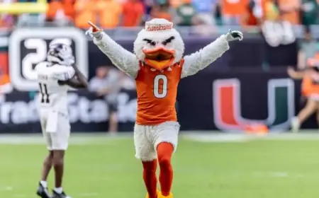Discover the Miami Hurricanes Mascot: Sebastian the Ibis and UM Traditions