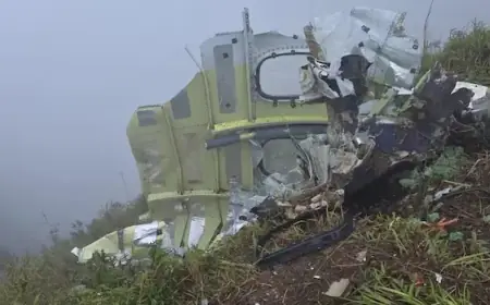 Indonesian Rescuers Locate Missing Plane Wreckage