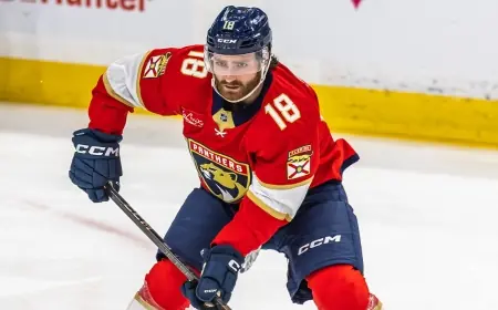 Alex Nedeljkovic goalie fight vs Florida Panthers turns chaotic Panthers–Sharks night into a viral NHL moment