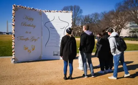 Powerful Protest Art on National Mall Targets Trump-Epstein Files