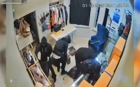 Thieves Swipe $200,000 in Luxury Handbags from Newport Beach Shop