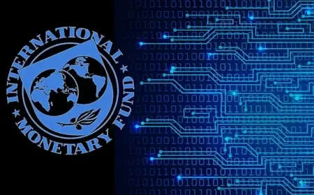 AI Flaws Could Threaten Global Economic Stability, Warns IMF