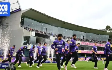 Hobart’s Captain and Test Player Out for BBL Knockout Final