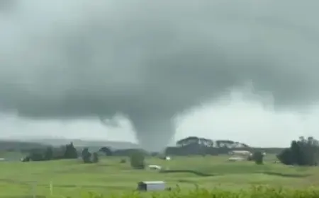 David Advances to T20 World Cup Amid Setback; Beardman, Edwards Join Squad