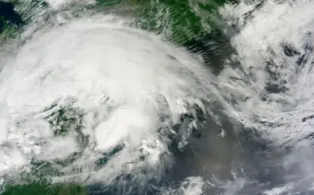 Leveraging Attribution Science to Enhance Grid Resilience