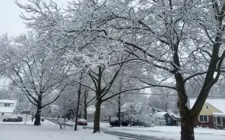 Atlanta Weather Forecast: Sunshine Now, Then Rain and a Wintry Mix Risk This Weekend