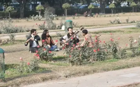 Chandigarh Tricity’s Sunny Spell Ends as Rain Arrives January 21