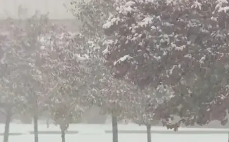 Winter Weather Advisory: Bitter Cold Winds Chill Metro Detroit