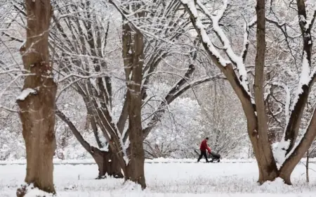 Arctic Chill Hits Tuesday, Winter’s Coldest Days Approaching Soon