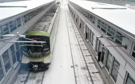 REM Service Slows Network-Wide During Peak Hours