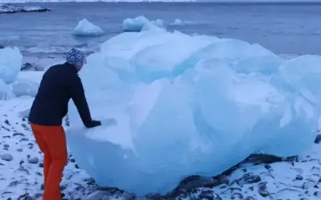 Morgan Stanley’s Mike Wilson Warns: Greenland May Challenge Big Tech