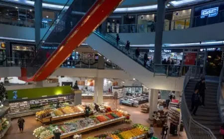 Canada’s Inflation Hits 2.4% in December; Key Indicators Soften