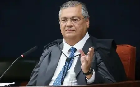 Supreme Court Orders Arrest for Woman Who Insulted Flávio Dino on Plane