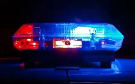 Gunmen Reported Near USF Tampa’s Urban Place Apartments: Shooting Alert Issued