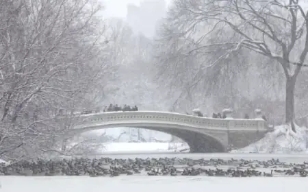 Rising Natural Gas Prices Challenge Markets Amid Severe Cold Temperatures