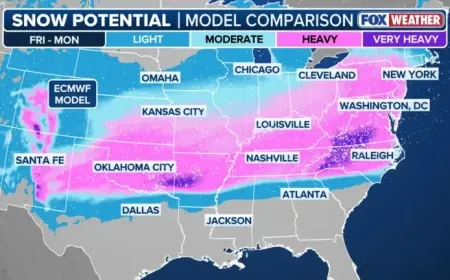 Analyzing Potential NYC Snowstorm Scenarios This Weekend