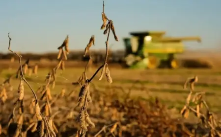 China Hits Soybean Purchase Target; Trump’s Trade Shifts Threaten Deal