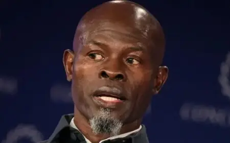 Djimon Hounsou’s Ex-Partner Arrested for Alleged Assault