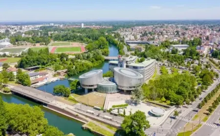 Challenging Empty Rhetoric in Film Criticism