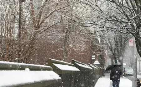 Forecasters Predict Over 6 Inches of Snow in NYC This Weekend