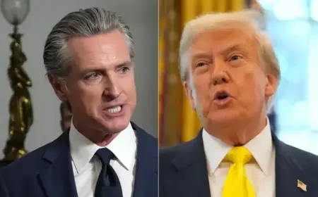 Gavin Newsom Calls World Leaders to Oppose ‘T-Rex’ Trump