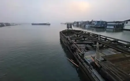 Vessel Collision Closes Fraser River Bridge in Metro Vancouver