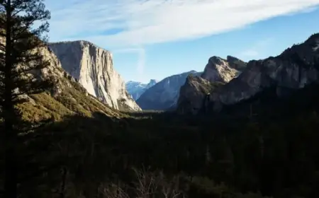 Yosemite Staffing Cuts Lead to Uncontrolled Visitor Behavior