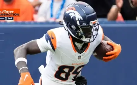 Broncos Add Wide Receiver Brandon Johnson to Practice Squad