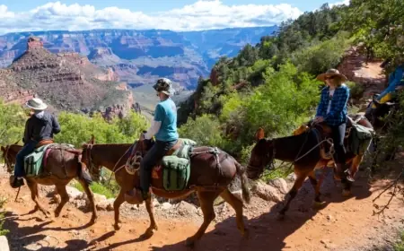 National Parks USA in 2026: What’s Changing, What’s New, and How to Plan a Smoother Trip