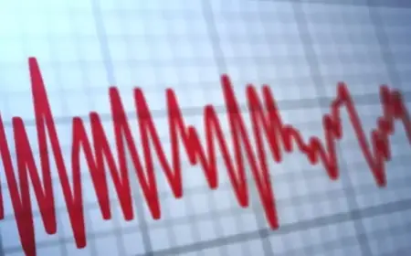 USGS Reports Earthquake Near Elgin