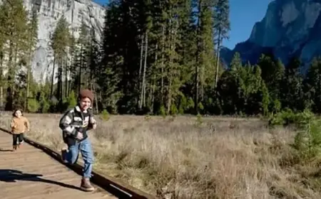 National Park Fees Increase and Regulations Change for 2026