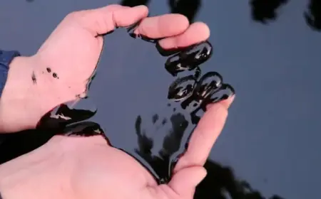 Kazakhstan’s Tengiz Oilfield Closure Extended 7-10 Days, Sources Confirm