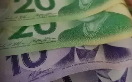 Ontarians Manage Finances to Address Rising Living Costs