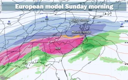 Major Winter Storm Set to Impact D.C. Area This Weekend: Key Details