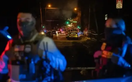 Minneapolis: Official Details Assault Before ICE Agent Shoots Man