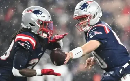 Patriots Dominant in Playoff Victory: Player Grades vs. Texans
