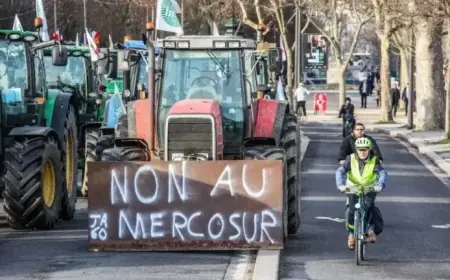 Controversy Surrounds EU-Mercosur Deal: Why Some Are Unhappy