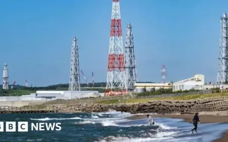 Japan Reactivates World’s Largest Nuclear Plant Amid Fukushima Concerns