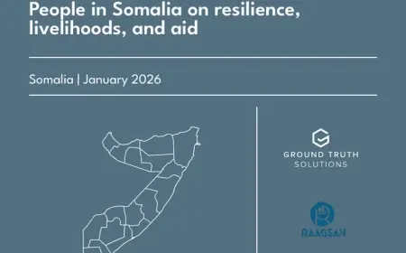 Somalis Confront Vicious Cycle: Resilience, Livelihoods, and Aid in 2026